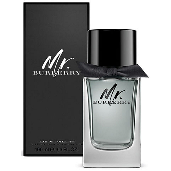 Mr. Burberry Burberry Eau de Toilette für Männer 100 ml