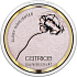 Catrice Glow Patrol Glühender Textmarker-Aufheller C03 Icon 8,5 g