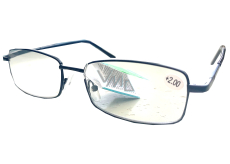 Berkeley Lesebrille Dioptrien +2,5 schwarz Metall 1 Stück MC2086