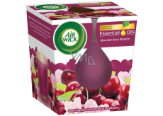 Air Wick Essenstial Oils Mountain Berry Blossom - Višňový čaj vonná svíčka ve skle 105 g