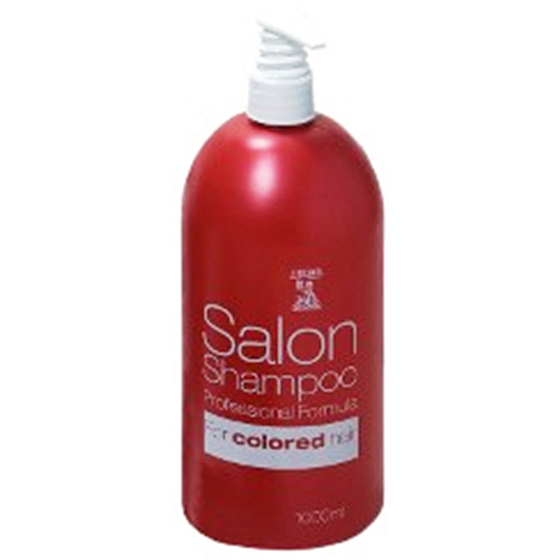 Hegron Salon Professional Shampoo für coloriertes Haar Pumpe 1000 ml