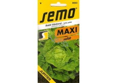 Semo-Salat Sommer, Feld Jupiter 0,4 g