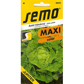 Semo Sommerkopfsalat, Freiland Jupiter 0,4 g