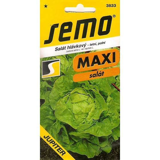 Semo Sommerkopfsalat, Freiland Jupiter 0,4 g