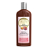 Biotter GlySkinCare Kaktusfeigenöl Conditioner für dünnes und feines Haar 250 ml