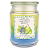 Candle-Lite Limette, Birne, Blaubeerduftkerze in Glas 3 Düfte, Brenndauer 100 - 120 Stunden 538 g