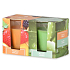 Emocio Tasty Fruit & Aloe Vera Duftkerzenglas 52 x 65 mm 2 Stück in einer Schachtel