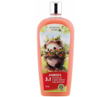 Bohemia Gifts Herbs Strawberry 3in1 Duschgel, Shampoo und Badeschaum für Kinder 500 ml
