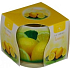 Essences of Life Lemon Duftkerze im Glas 100 g