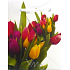 Nekupto Geschenk Papiertüte 14 x 11 x 6,5 cm Tulpen 1 Stück 325 02