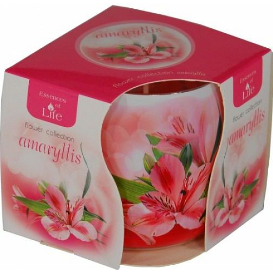 Essenzen des Lebens Amaryllis aromatische Kerze in Glas 100 g