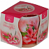 Essenzen des Lebens Amaryllis aromatische Kerze in Glas 100 g