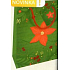 Nekupto Geschenk Papiertüte 23 x 18 x 10 cm Weihnachtsgrün mit Weihnachtsstern WBM 1941 50