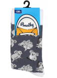 Albi Bunte Socken Universalgröße Koala 1 Paar