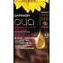 Garnier Olia Haarfarbe ohne Ammoniak 6.15 Eis hellbraun
