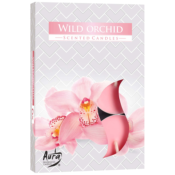 Bispol Aura Wild Orchid - Wilde Orchidee duftende Teekerzen 6 Stück