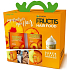Garnier Fructis Goodbye Damage stärkendes Shampoo 250 ml + stärkender Haarbalsam 200 ml + Hair Food Probe 15 ml, Kosmetikset