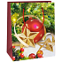 Ditipo Geschenk Papiertüte 11,5 x 6,5 x 14,5 cm rote Flasche mit goldenem Stern E.