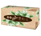 Linteo ECO Papiertaschentücher 2 Lagen 100 Stück Karton