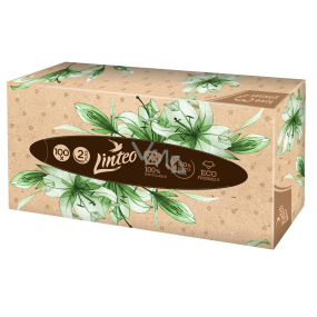 Linteo EKO Papiertaschentücher 2 Lagen 100 Stück Karton