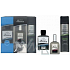 Alpa Windsor Cologne 100 ml + After Shave 100 ml + 200 ml Rasierschaum, Geschenkset