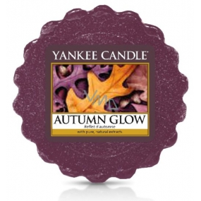 Yankee Candle Autumn Glow - leuchtendes Herbstduftwachs für Aromalampen 22 g