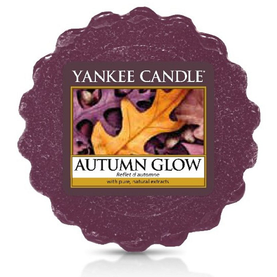 Yankee Candle Autumn Glow - leuchtendes Herbstduftwachs für Aromalampen 22 g