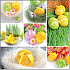 Papierservietten 3 Lagen 33 x 33 cm 20 Stück Ostern grüne Espe, gelbe Eier