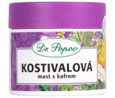 DR. Popov Beinwell Salbe mit Kampfer zur Massage des steifen Bewegungsapparates 100 ml