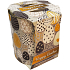 Admit Verona Ostern graue Eier duftende Kerze im Glas 90 g