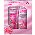Dermacol Aroma Ritual Rosa Ingwer Belebendes Duschgel 250 ml + Körperlotion 200 ml, Kosmetikset