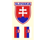 Arch Tattoo Decals für Gesicht und Körper Slowakei Flagge 2 Motiv