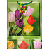 Nekupto Geschenk Papiertüte 23 x 18 x 10 cm Tulpen 1048 50 BL