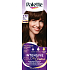Palette Intensive Color Creme Haarfarbe 4-60 Glänzendes Mittelbraun 50 ml