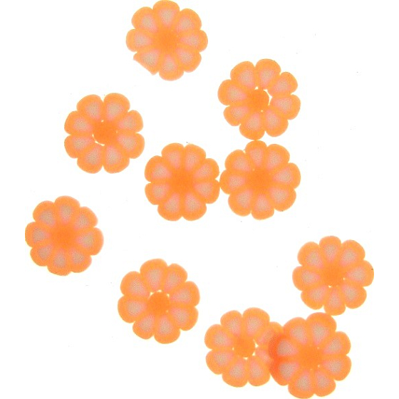 Professionelle Nagelverzierungen Blumen Lachs 132 1 Packung