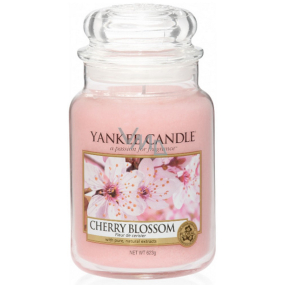 Yankee Candle Cherry Blossom - Klassische Kirschduftkerze Klassisches großes Glas 623 g