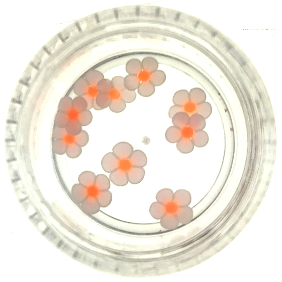 Professionelle Nail Art Flower Orange Rose 132