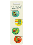 Albi Magnetische Mini-Dinosaurier, Durchmesser 3 cm 4 Stück