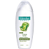 Palmolive Naturals Olive Milk Shampoo für langes und glänzendes Haar 200 ml