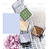 Miss Sports Fabulous Mono Lidschatten 115 2,5 g