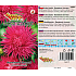 Seva Seed Astra Chinesisch nadelförmig hochrot 0,5 g
