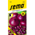 Semo Küchenzwiebel Frühlings Karmen 2 g