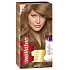 Wella Wellaton Foam Haarfarbe 7/1 Medium Ash Blonde