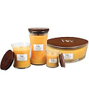WoodWick Seaside Mimosa - Duftkerze Mimosa am Meer mit Holzdocht und Deckel Glas mittel 275 g