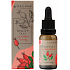 Regina Rosehip Nourishing Regenerating Oil für Haut, Haut und Haar 20 ml