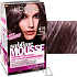 Loreal Paris Sublime Mousse Haarfarbe 415 feine Eiskastanie
