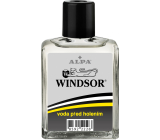 Alpa Windsor Rasierwasser, 100 ml