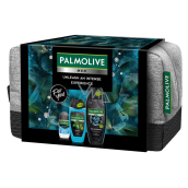 Palmolive Men Refreshing 3in1 Duschgel 500 ml + Sport 3in1 Duschgel 250 ml + Arctic Antitranspirant Deodorant Roll-on 50 ml + Kosmetiktasche, Pflegeset für Männer