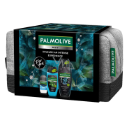 Palmolive Men Refreshing 3in1 Duschgel 500 ml + Sport 3in1 Duschgel 250 ml + Arctic Antitranspirant Deodorant Roll-on 50 ml + Kosmetiktasche, Pflegeset für Männer