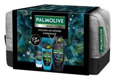 Palmolive Men Refreshing 3in1 Duschgel 500 ml + Sport 3in1 Duschgel 250 ml + Arctic Antitranspirant Deodorant Roll-on 50 ml + Kosmetiktasche, Pflegeset für Männer